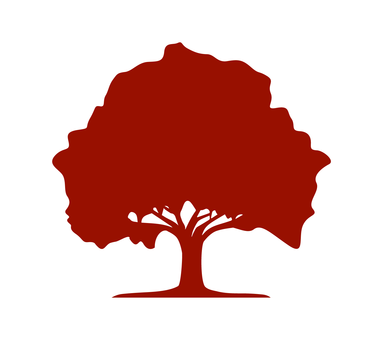 The Seed School of Maryland