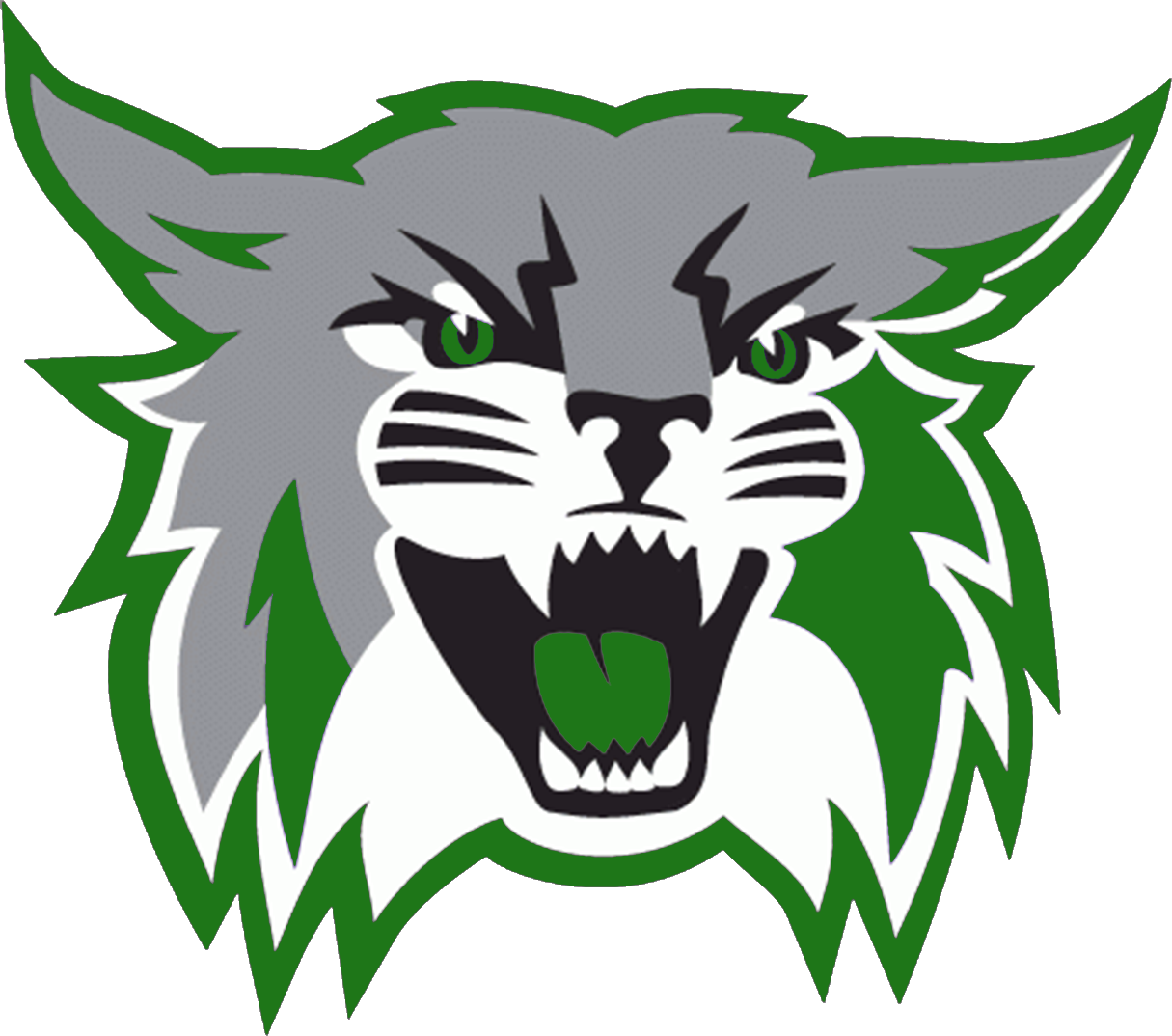 Walter Johnson High School