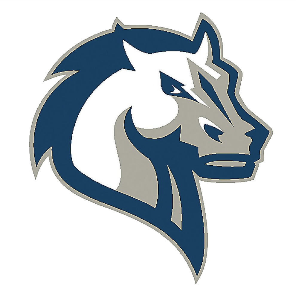 Manchester Valley High School