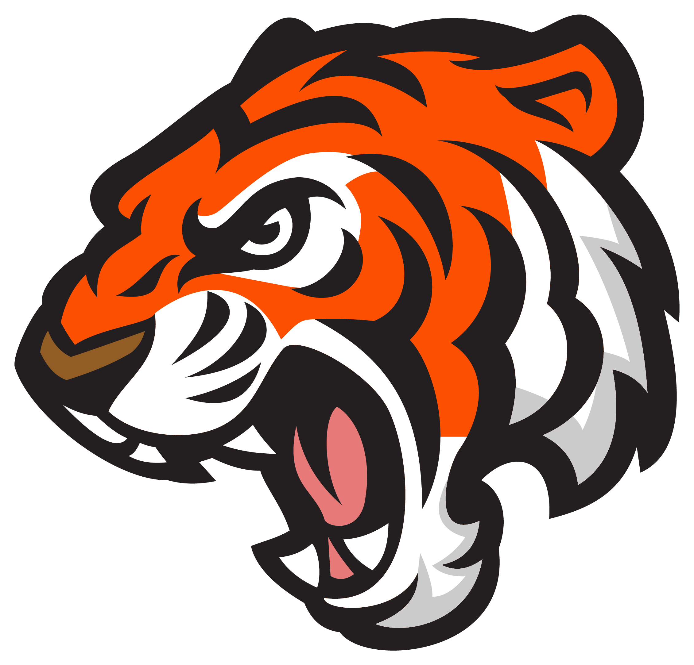 Rising Sun High School